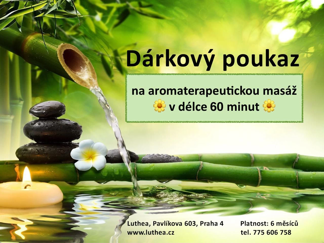 Luthea - terapeutické centrum - obrázek 3