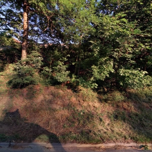 Marcela Chmelíčková