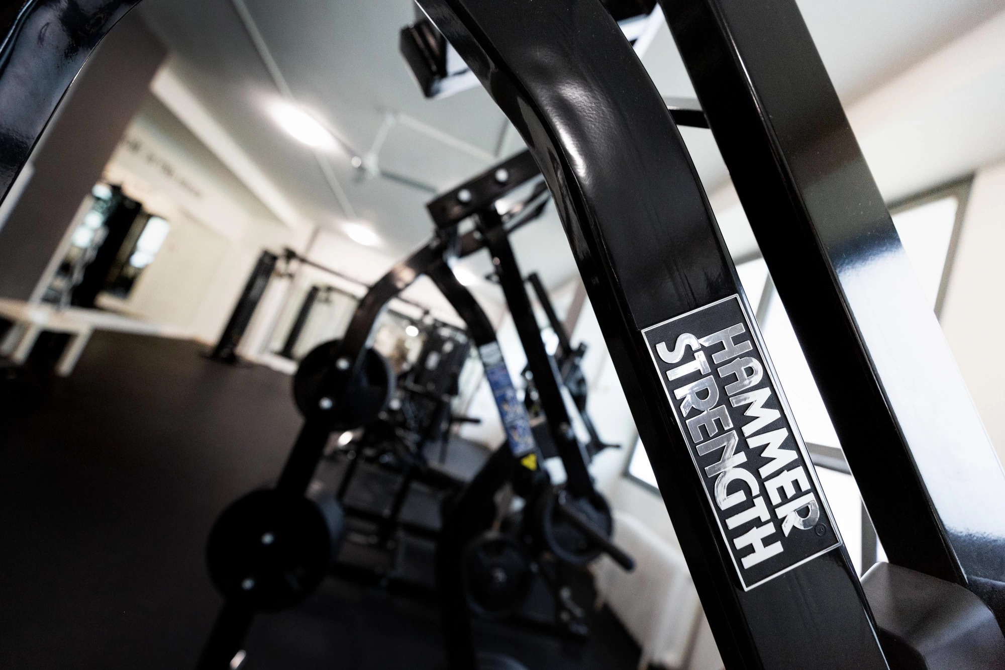 Legends Gym - obrázek 5
