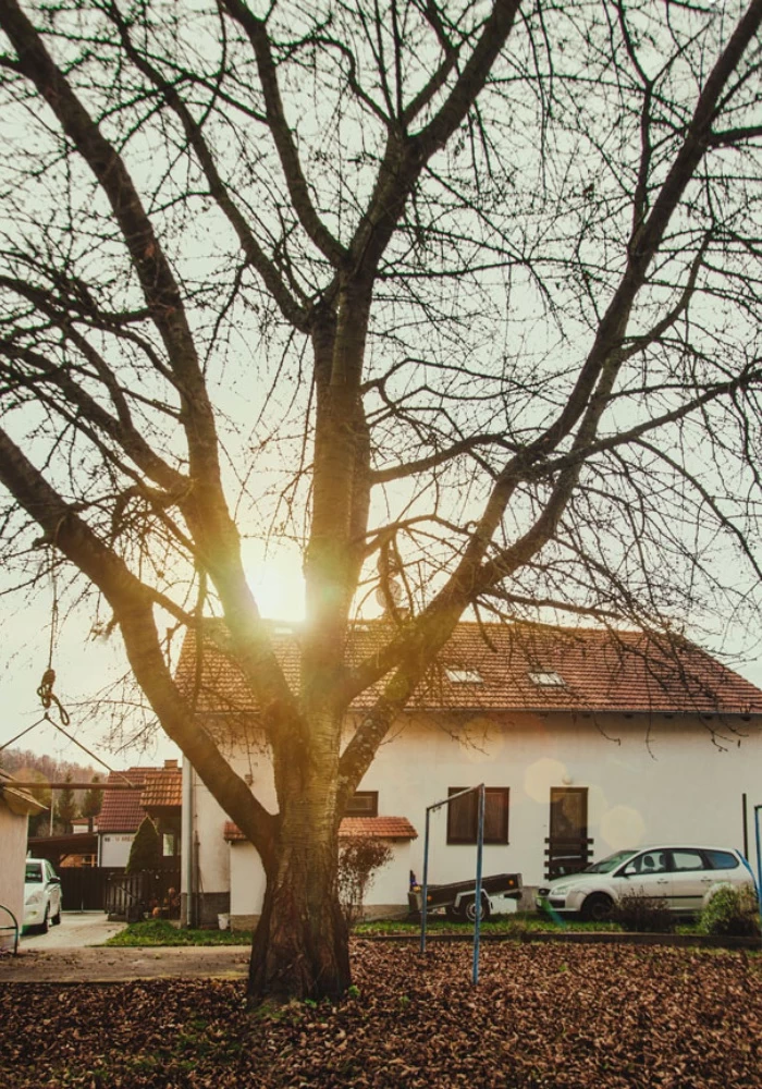 Masáže V Zahradě - obrázek 4