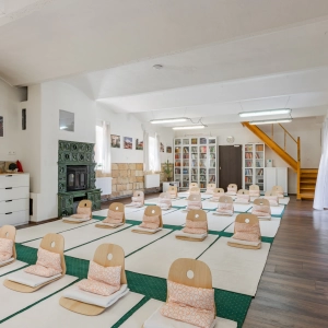 Yoga Surya International