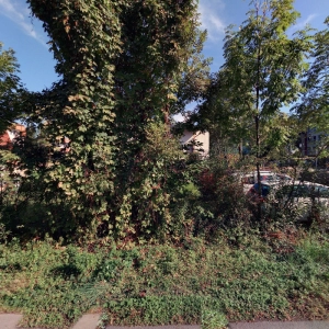 Masáže a pedikúra RELAX