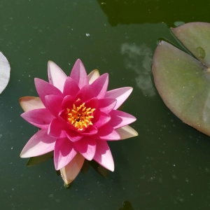 Anna Stojanová - Masáže