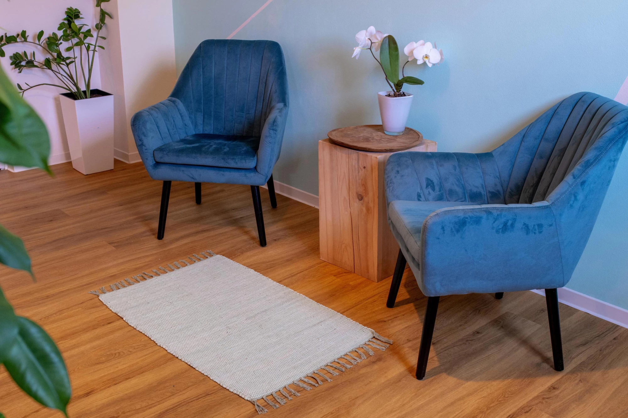 Masáže Nikola Havlíčková