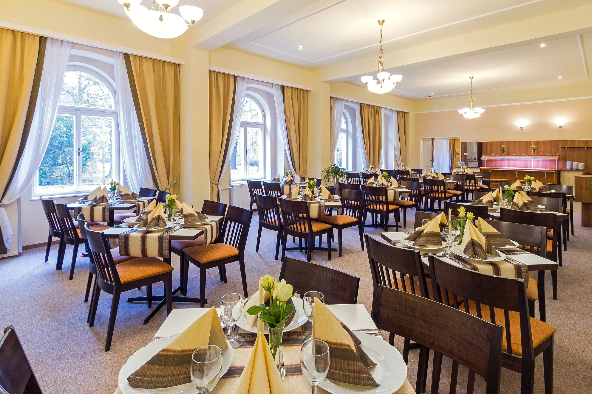Lázeňský hotel Dr. Adler *** - obrázek 4