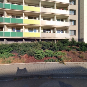 Masáže Irena Jurečková