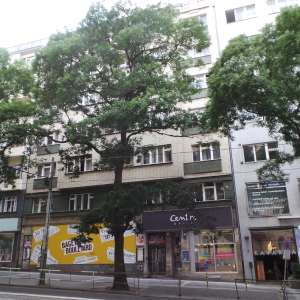 Thajské masáže FAiLiN