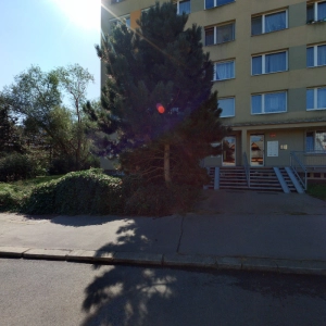 Vladimíra Holešová - masáže