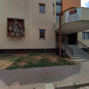 Léčitelka - Bohdana Štuknerová