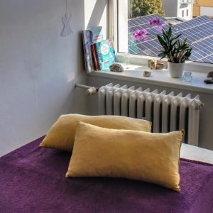 Kraniosakrální biodynamika a masáže Petrášová