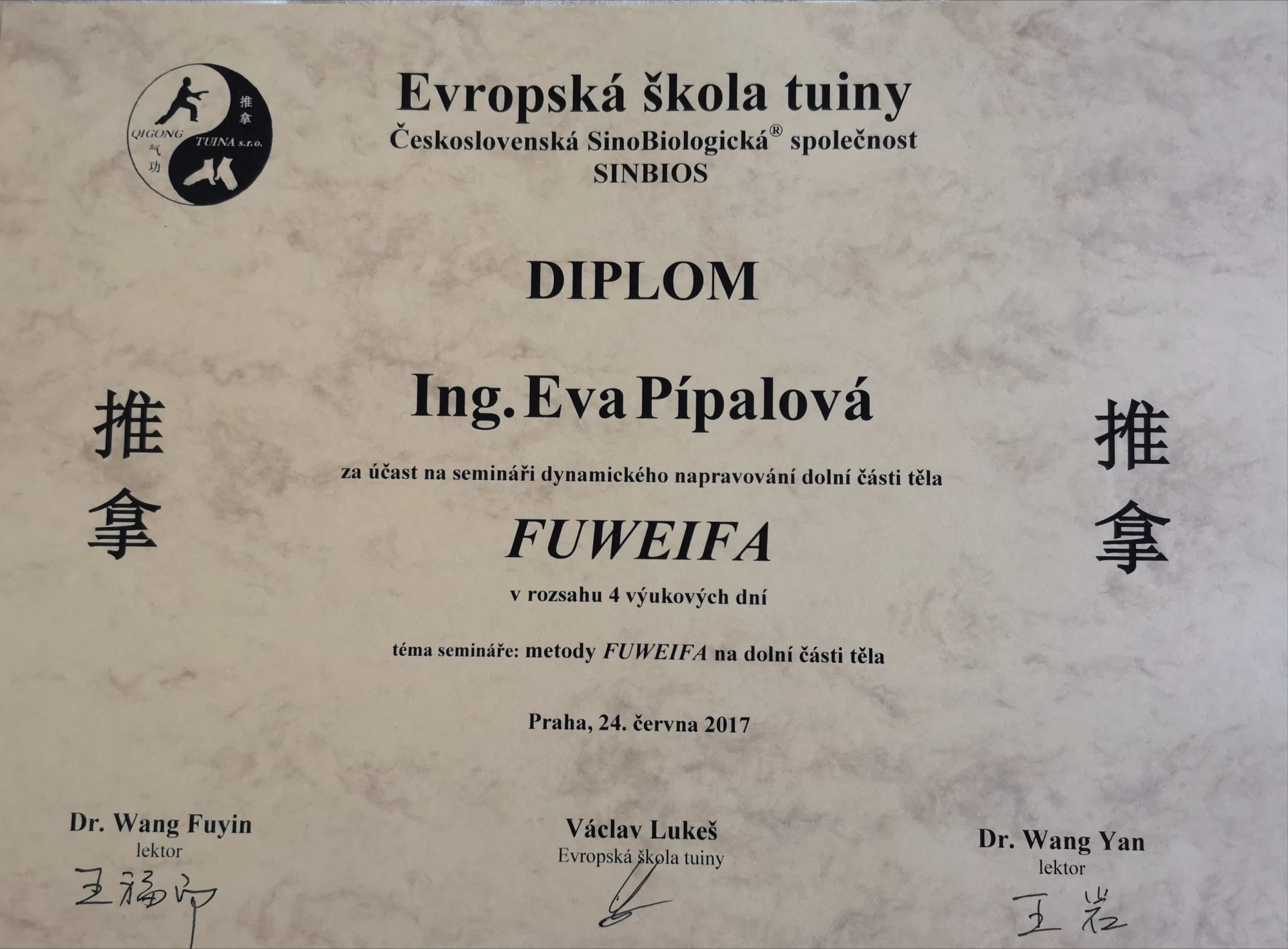 Čínské masáže Tuina - Eva Pípalová - obrázek 3