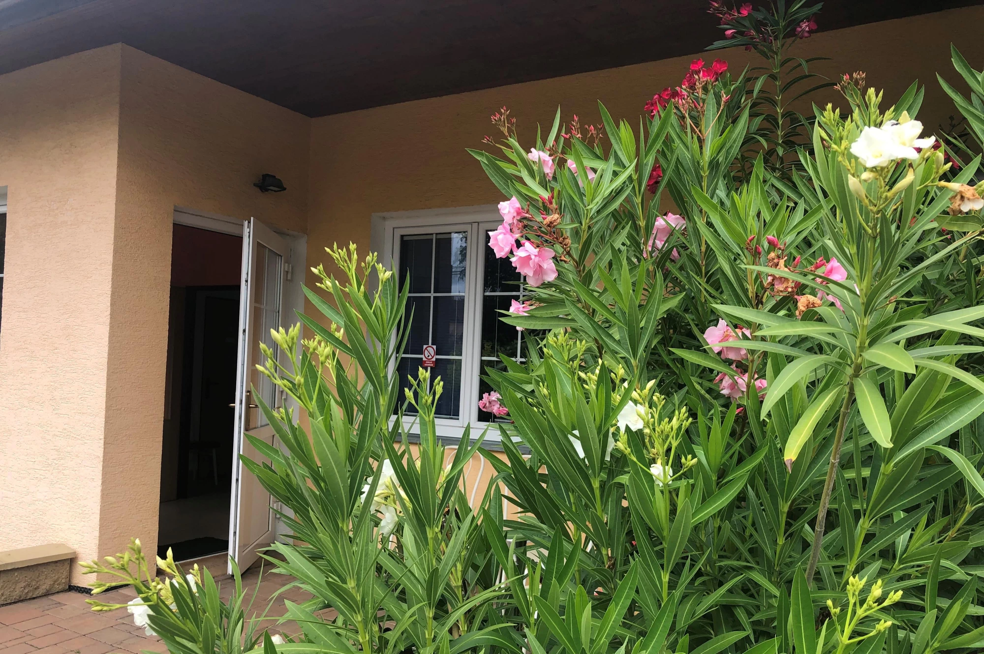 Tomáš Brynda Masáže