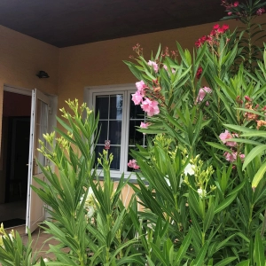 Tomáš Brynda Masáže