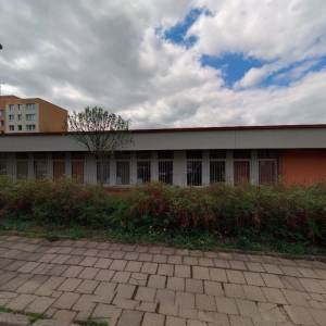 Masér Bc. Alena Radostná