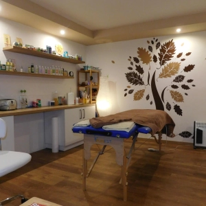 HARMONIE ZDRAVÍ - David Palkovič