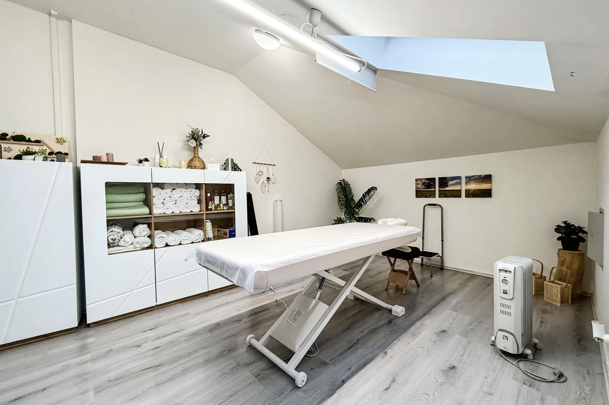 TAVIRA Studio manuální terapie pro lidi a zvířata