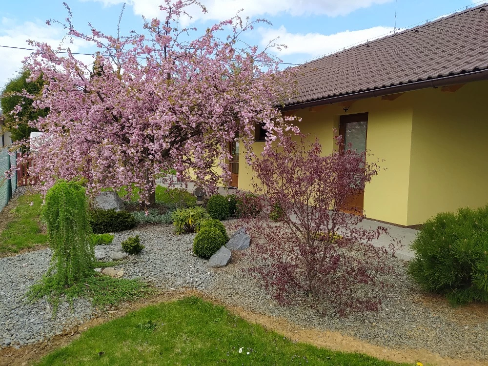 Rodinné masážní a relaxační studio - obrázek 2