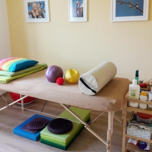 Lenka Pikhartová, DiS.