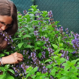 Klára Lee Demelová - Vaše bylinkářka
