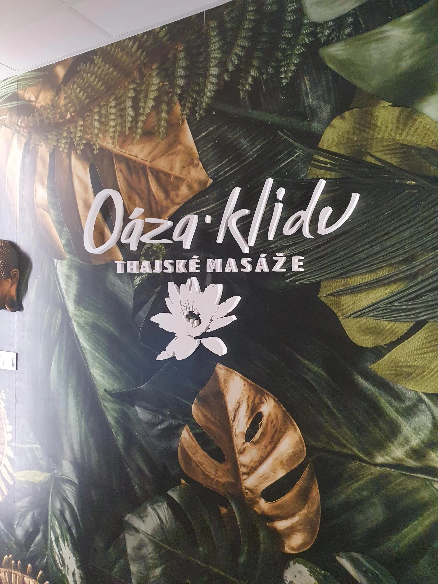 Oáza klidu - obrázek 3