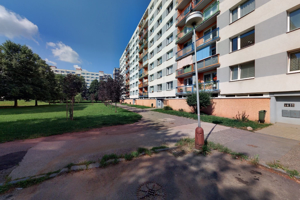 David Grof - obrázek 2