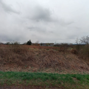 Martina Hlubučková - Masáže na míru