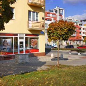 Bc. Markéta Velková - Fyzioterapie, masáže