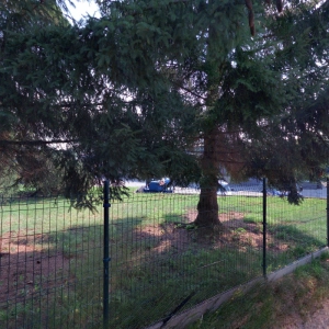 Kosmetické studio Barbora Novotná, Tereza Novodárská