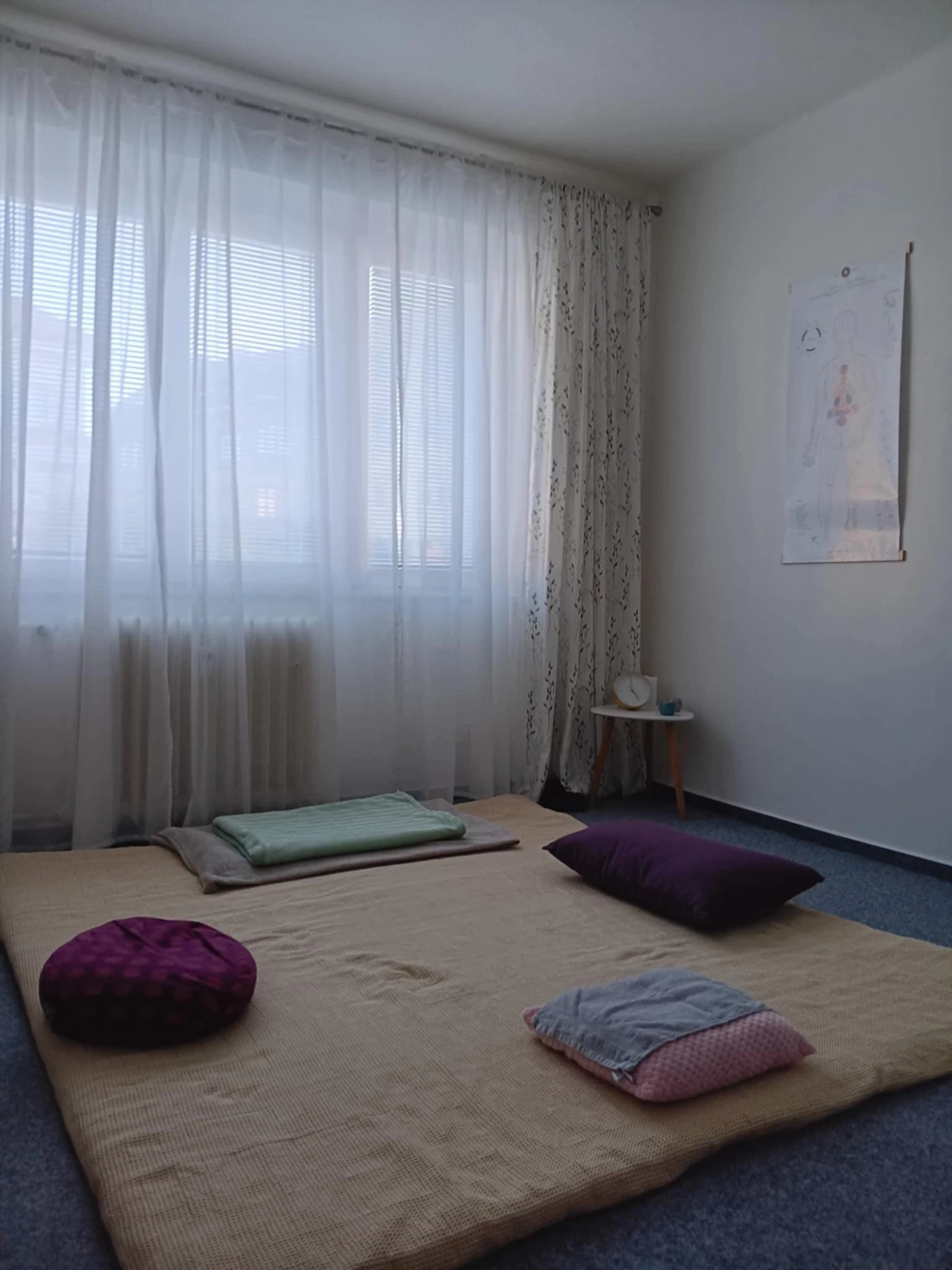 SHIATSU - Jana Chmelíková - obrázek 2