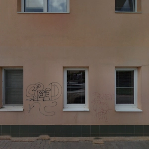 Bc. Dana Skotáková