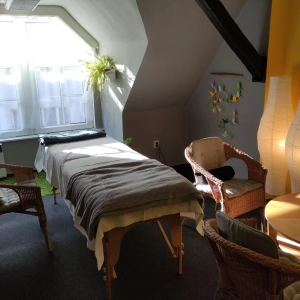 Kraniosakrální terapie - biodynamika / Martin Šperl