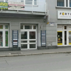 AMETYST - Zdenka Romanová