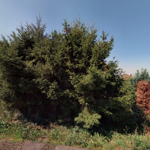 Michaela Svobodová - Masáže