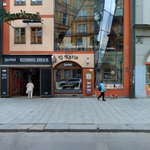 Léčivé doteky - Eva Šedivá