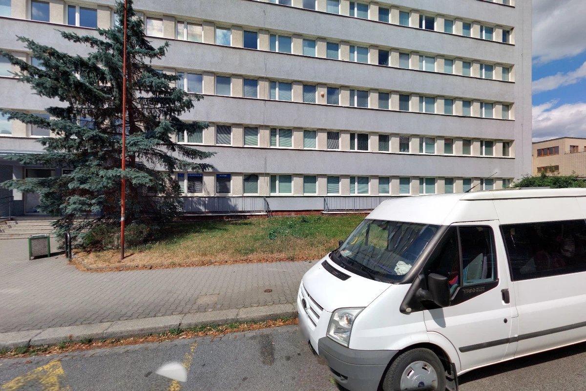 Lymfoterapie Miluše Mixová - obrázek 2