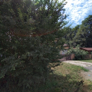 Bezva masáž u mamuta