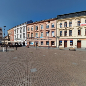 Vitacentrum - Silvester Janus DiS.