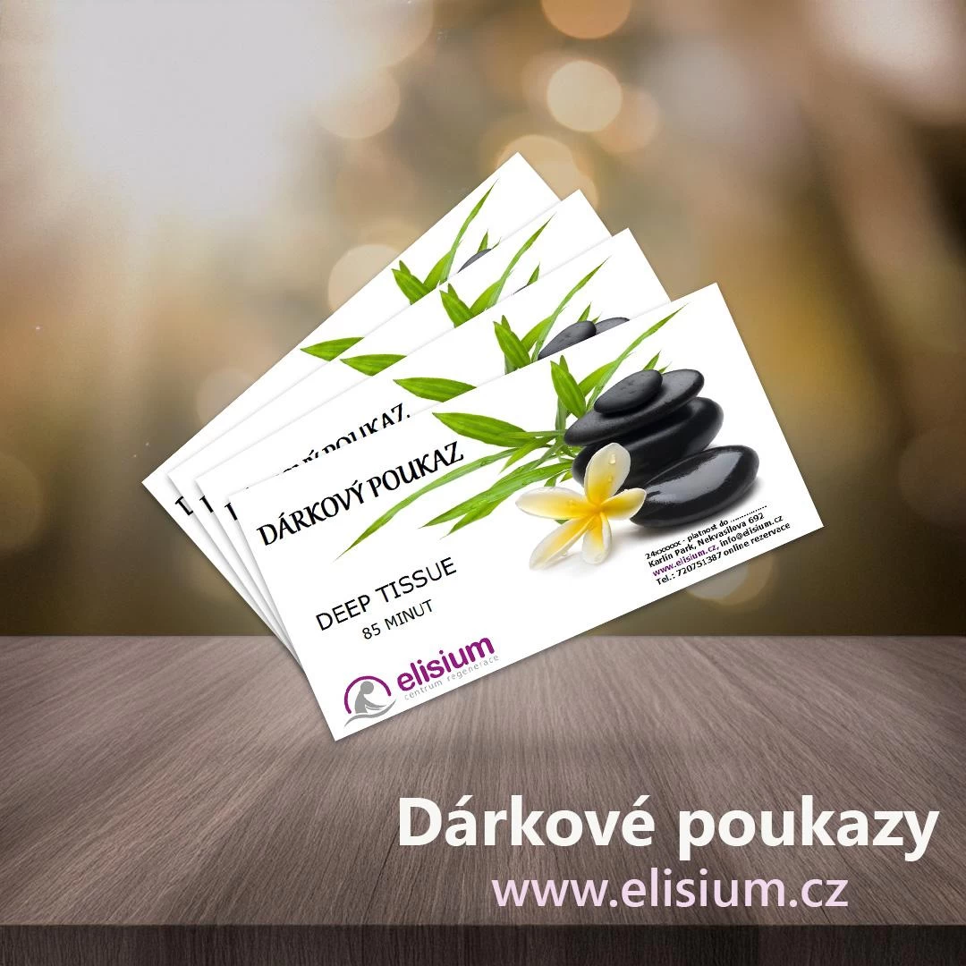 ELISIUM - centrum regenerace - obrázek 5